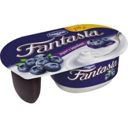 DANONE Fantasia jogurt kremowy z jagodami 12x118g